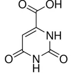 Merck OROTIC ACID FREE ACID ANHYDROUS