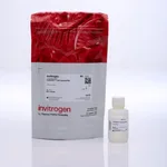 Thermo Fisher Scientific CyQUANT Cell Lysis Buffer (20X)