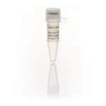Thermo Fisher Scientific NoLimits 8000 bp DNA Fragment