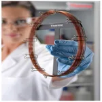 Thermo Fisher Scientific TraceGOLD TG-1MS GC Columns