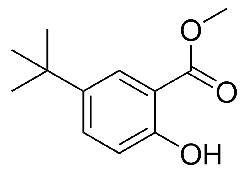 Merck Methyl 5-tert-butyl-2-hydroxybenzoate