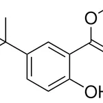 Merck Methyl 5-tert-butyl-2-hydroxybenzoate