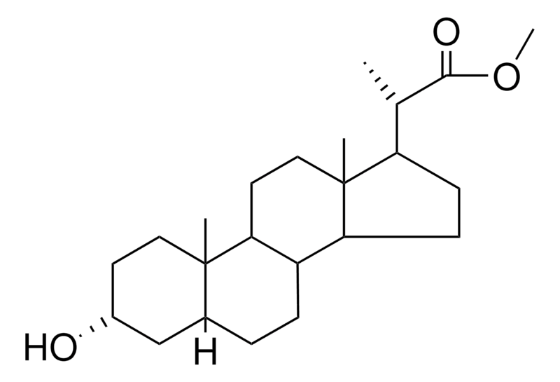 Merck METHYL3-ALPHA-HYDROXY-23,24-DI - 1 MG&