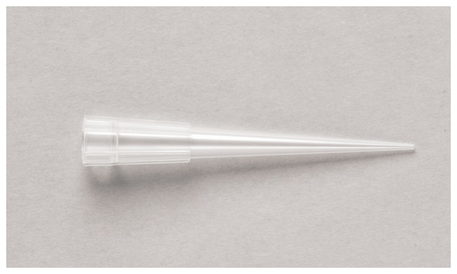 Thermo Fisher Scientific SureOne Thin Wall Micropoint Pipette Tips, Universal Fit