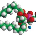 Merck 16:0 PE MCC