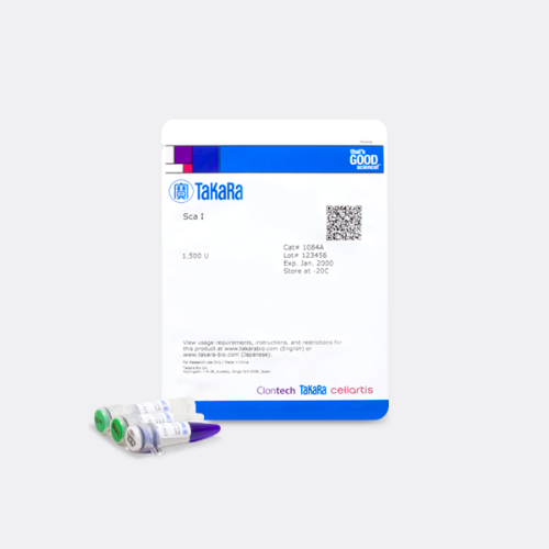 Takara ScaI restriction enzyme