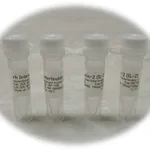 솔바이오팜 rh IL-2