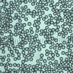 Thermo Fisher Scientific Dri-Cal Particle Size Standards, 97μm ± 3μm dia