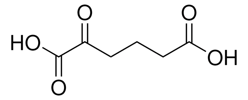 Merck 2-Oxoadipic acid