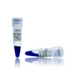 Thermo Fisher Scientific iBright Prestained Protein Ladder, 2 x 250 μL