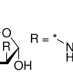Merck N-ACETYL-D-MANNOSAMINE