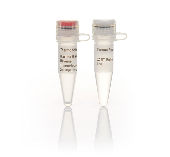 Thermo Fisher Scientific Maxima H Minus Reverse Transcriptase (200 U/μL), 2,000 Units