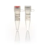 Thermo Fisher Scientific Maxima H Minus Reverse Transcriptase (200 U/μL), 2,000 Units