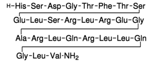 Merck SECRETIN, HUMAN