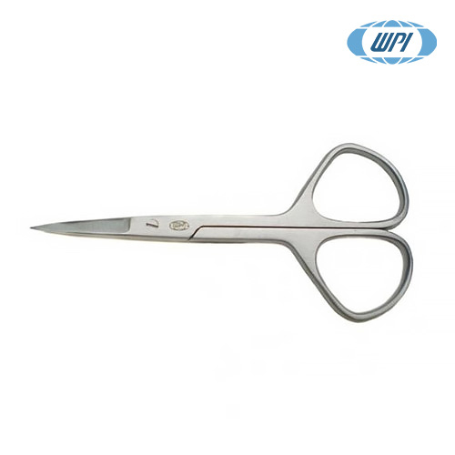 WPI 503242 / 미세 해부용 미니 가위(Dissecting Miniature Scissors),mini[1EA]