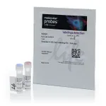 Thermo Fisher Scientific Qtracker 525 Cell Labeling Kit (Trial Size)