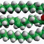 Merck 15:0-18:1-D7-15:0 TG