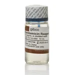 Thermo Fisher Scientific Gentamicin (10 mg/mL), 10 mL