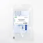 Intron dNTP Mixture (2.5mM)