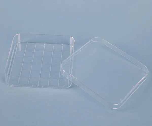 Square Petri Dish 사각 페트리 디쉬, Polystyrene