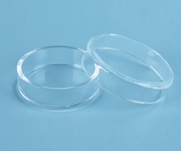 Quartz Petri Dish 석영 페트리 디쉬