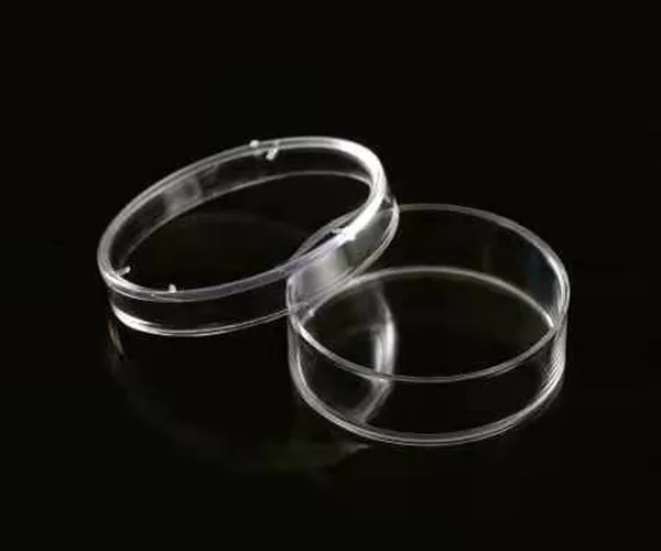 Mini Polystyrene Petri Dish 미니 페트리 디쉬