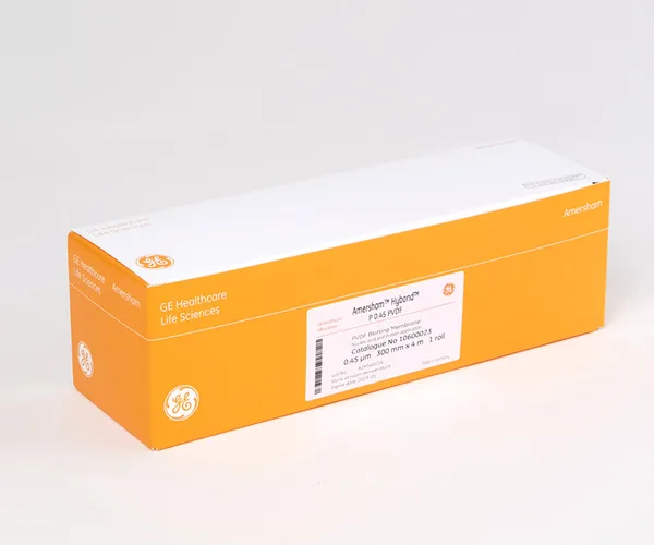 Blotting Membrane 블로팅 멤브레인