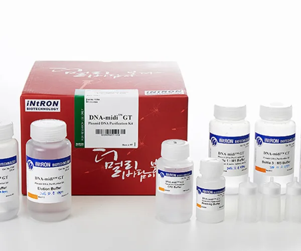 Intron DNA-midi™ GT Plasmid DNA Purification Kit