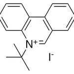 Merck 5-TERT-BUTYL-PHENANTHRIDINIUM, - 50 MG&