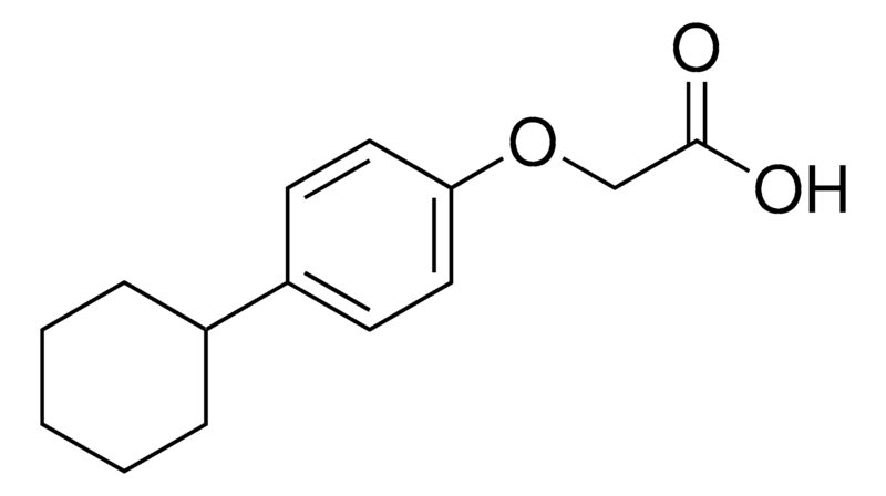 Merck (4-CYCLOHEXYL-PHENOXY)-ACETIC AC-
