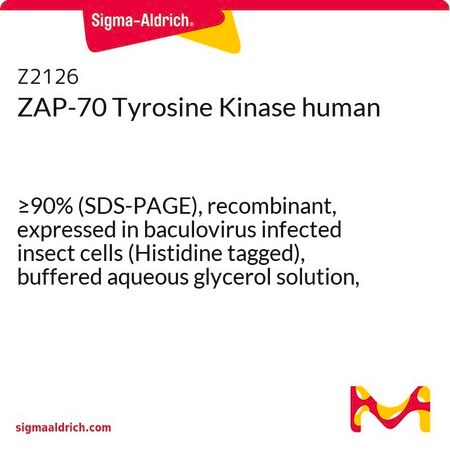 Merck ZAP-70 Tyrosine Kinase human