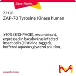 Merck ZAP-70 Tyrosine Kinase human