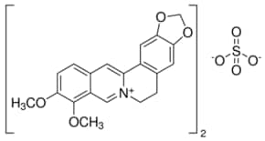 Merck BERBERINE HEMISULFATE