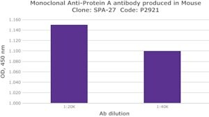 Merck MOUSE MONOCLONAL ANTI-PROTEIN A, CLONE &