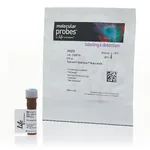 Thermo Fisher Scientific Vybrant DyeCycle Ruby Stain, 400 reactions