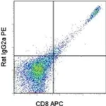 Thermo Fisher Scientific Mouse anti-Rat IgG2a Secondary Antibody, PE, eBioscience
