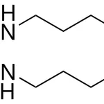 Merck Spermine