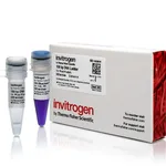 Thermo Fisher Scientific 100 bp DNA Ladder, 100 μL DNA Ladder, 1 mL 10X Sample Loading Buffer, 100 Applications