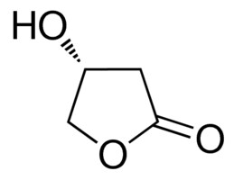 Merck (R)-3-HYDROXY-GAMMA-BUTYROLACTONE-