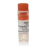 Thermo Fisher Scientific Expi293F Inducible GnTI- Cells