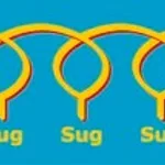 Merck 6`SLN-C3-PAA-BIOT