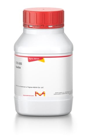 Merck KAOLIN