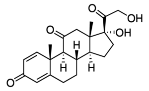 Merck PREDNISONE