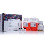 Thermo Fisher Scientific SILAC Protein Quantitation Kit (LysC), DMEM
