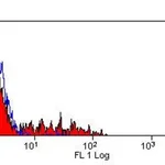 Thermo Fisher Scientific F(ab`)2-Rabbit anti-Mouse IgG (H+L) Cross-Adsorbed Secondary Antibody, FITC