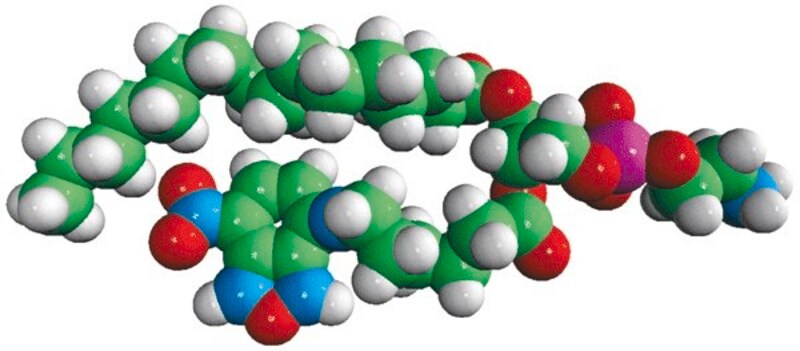 Merck 16:0-06:0 NBD PE