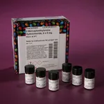 Thermo Fisher Scientific Pierce Mercaptoethylamine-HCl