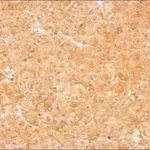 Merck ANTI-LOR (N-TERMINAL)