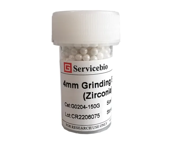 Servicebio Grinding Beads (Zirconia)
