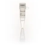 Thermo Fisher Scientific dATP Solution (100 mM)